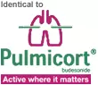 Generic Pulmicort