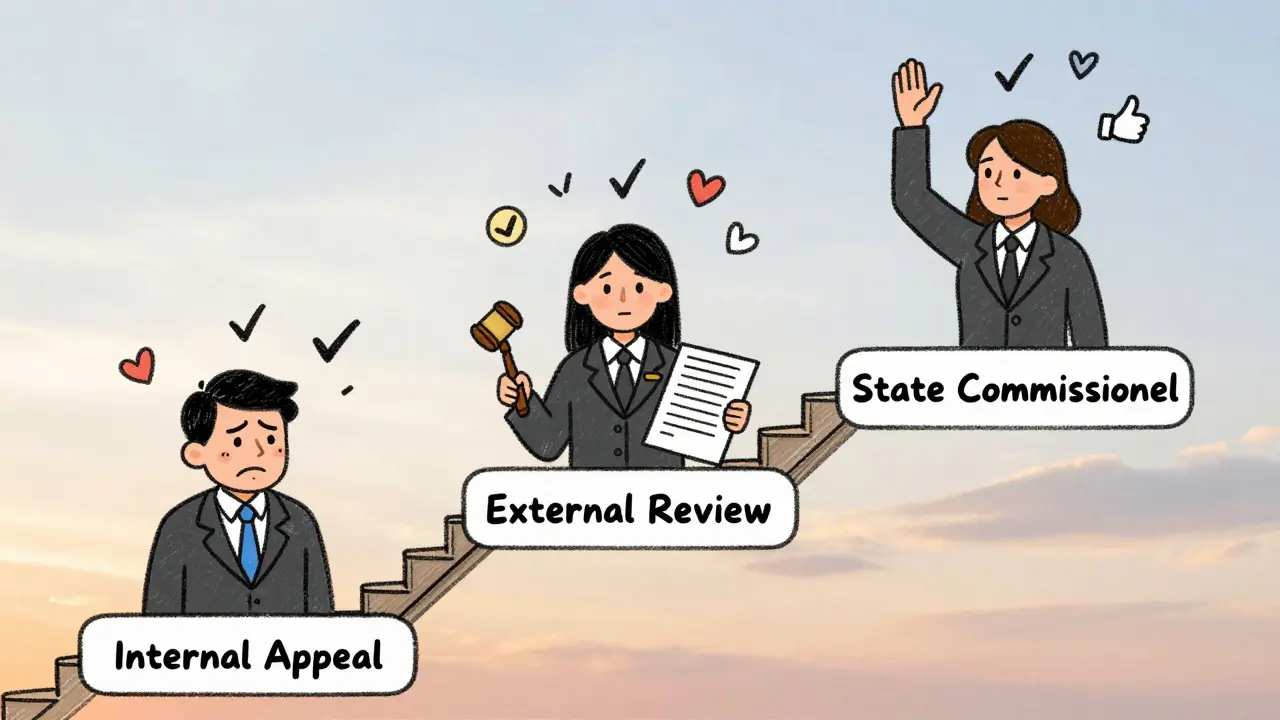 Three-level appeal process shown as a staircase with patient ascending toward state commissioner.