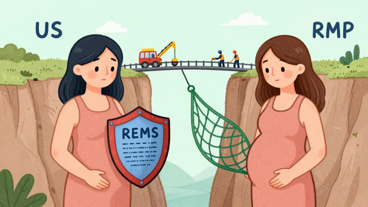 Two figures holding different risk shields symbolizing REMS vs RMP approaches